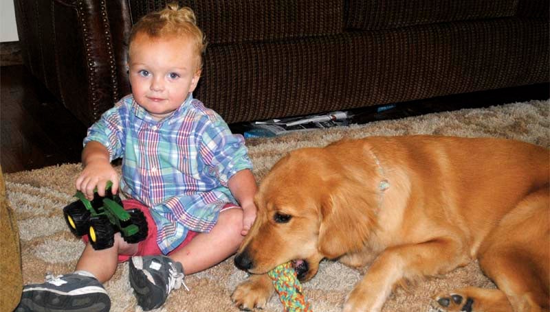 DAILY LEADER / JUSTIN VICORY / Blaze Bozeman, 20 months old, sits next to his new buddy, Erving, a golden retriever that is specially trained to alert Blaze's parents if the young boy is about to have a seizure or respiratory problems. 