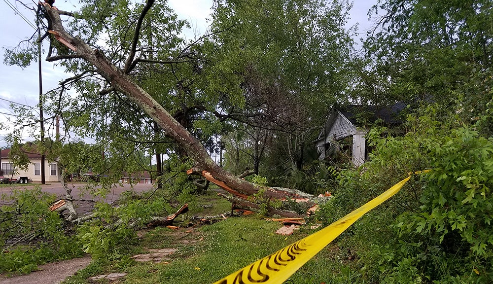 Photo gallery: Brookhaven storm damage - Daily Leader | Daily Leader