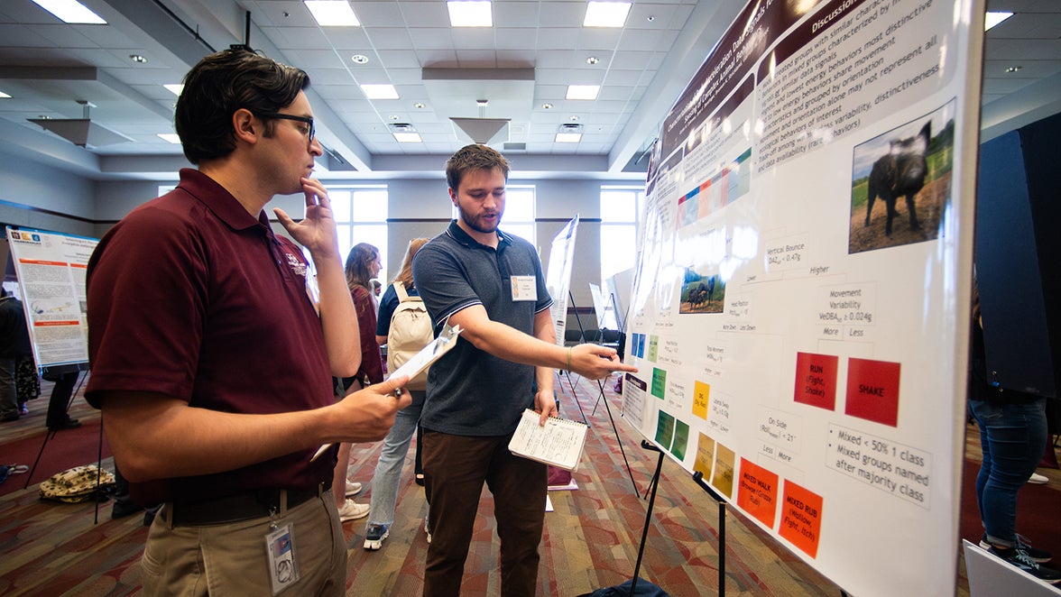 msu undergraduate research symposium