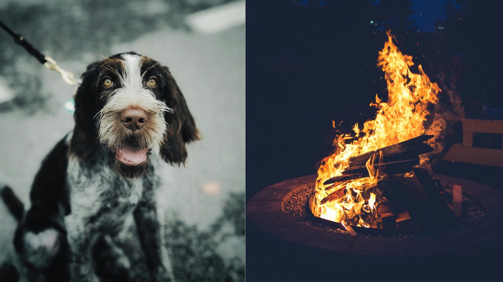 Brookhaven chiefs give holiday crime, fire updates